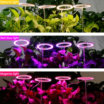 Engel Vier Ring Groei Licht 5V USB Plant Licht LED Full Spectrum Indoor Plant, Zaailing Huishouden Bloem Zaailing Licht